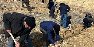 Saadet Partisi Kayseri İl Teşkilatından Fidan Dikim Etkinliği