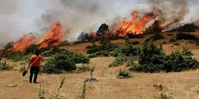 Sekidağı’nda Korkutan Yangın: Söndürüldü
