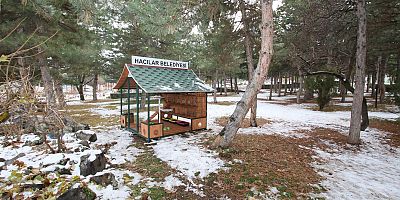 Sokak Kedileri İçin Sığınma Ve Beslenme Evi