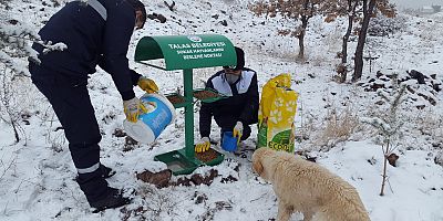 Talas Belediyesi de Doğaya Yem Bıraktı