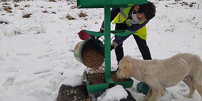 Talas’ın Sokak Hayvanları Özel Ekibi