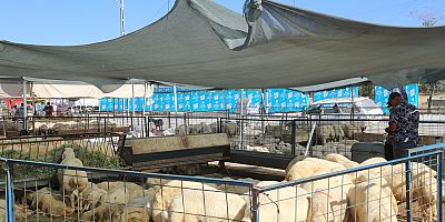 Talas’ta Kurban Satış ve Kesim Yerleri Belirlendi