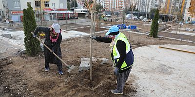 Talas’ta Mevlana Meydanı Ağaçlandırılıyor