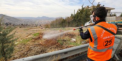 Talas’ta Sinek ve Haşerata Erken Önlem