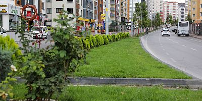 Talas’ta Yollara Önce Refüj Sonra Ağaç