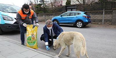 Tam Kapanmada Melikgazi’de Sokak Hayvanları Unutulmadı