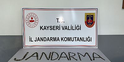 Tarihi Eser Kaçakçılığı Operasyonunda 1 Gözaltı