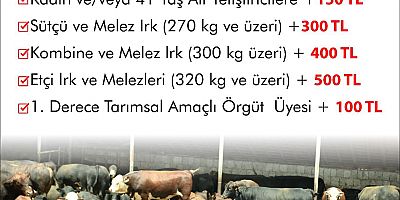 Tarım ve Orman Bakanlığı’ndan Kayseri’de Hayvancılığa Destek