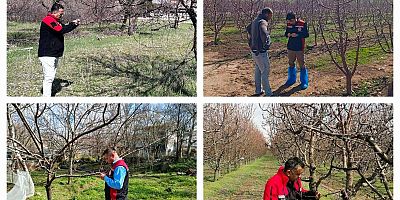 Tarım ve Orman İl Müdürlüğü’nden ‘Zirai Don’ Açıklaması