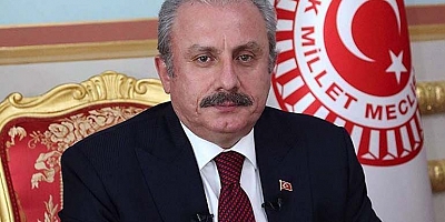 TBMM Başkanı Şentop: 'İttifak Açısından Yüzde 7 Baraj Düşünülüyor'