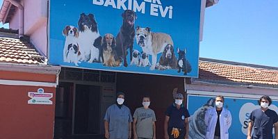 Tehlikeli Irk Köpek Besleyen 3 Kişiye, 38 Bin Tl Ceza
