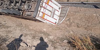 TIR’ın Devrilmesiyle Bazı Hayvanlar Telef Oldu