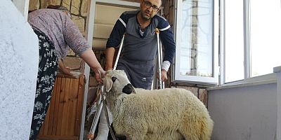 Tosunun Saldırdığı Besici Hastanelik Oldu