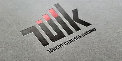 TÜİK, İşsizlik İçin de Danışma Kurulu Oluşturdu