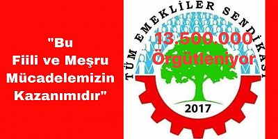 Tüm Emekli Sen Kapatma Davası İstinaf Mahkemesince Reddedildi
