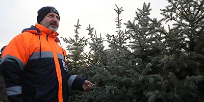 Türkiye’nin En Kapsamlı Fidanlığı Kocasinan’da