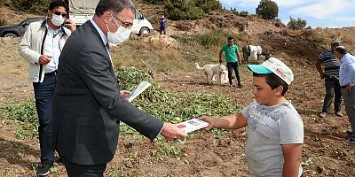 Vali Balcı Pancar Çiftçisi İle Buluştu