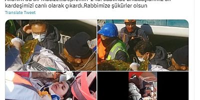 Vali Çiçek