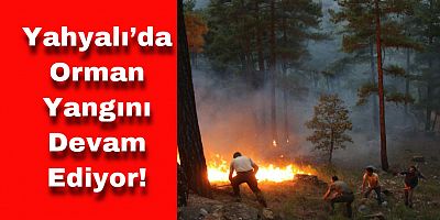 Yahyalı’da Orman Yangını Devam Ediyor