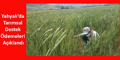 Yahyalı’da Tarımsal Destek Ödemeleri Açıklandı