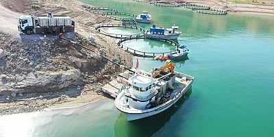 Yamula Barajı'nda 1400 Ton Somon Üretildi