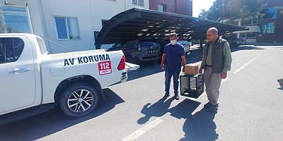 Yaralı Akbaba Tedaviye Alındı