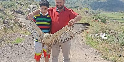 Yaralı Kartal Veterinerlere Teslim Edildi