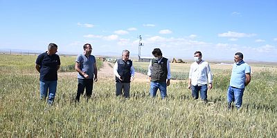 Yazlık Buğday Ekimi İncelendi