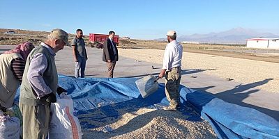 Yeşilhisar'da Ayçekirdeği Hasadı