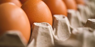 Yumurta Fiyatlarında Artış