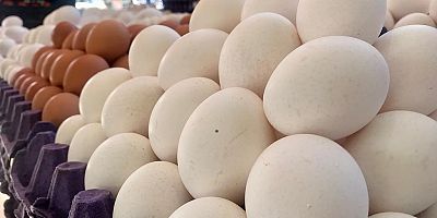 Yumurta Satışlarında Pazar ve Markette Fiyat Farkı Var