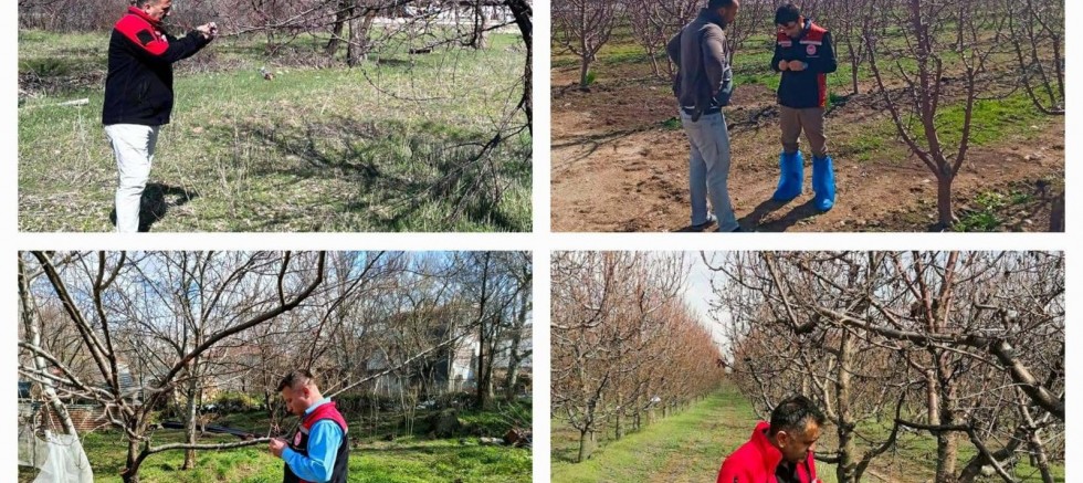 Tarım ve Orman İl Müdürlüğü’nden ‘Zirai Don’ Açıklaması