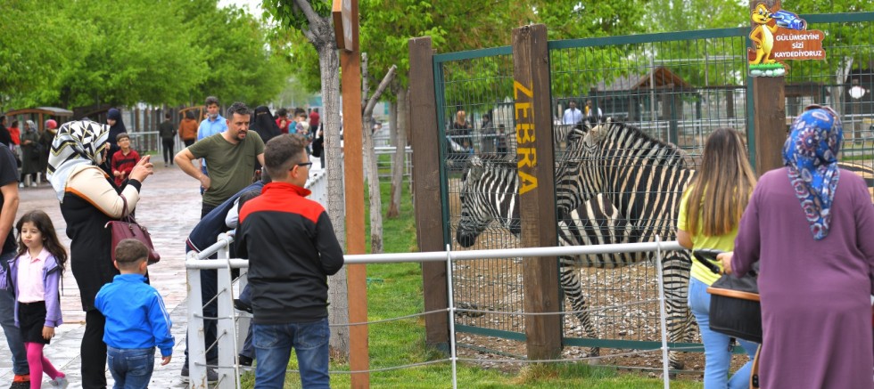 Ücretsiz yapılan hayvanat bahçesine yoğun ilgi